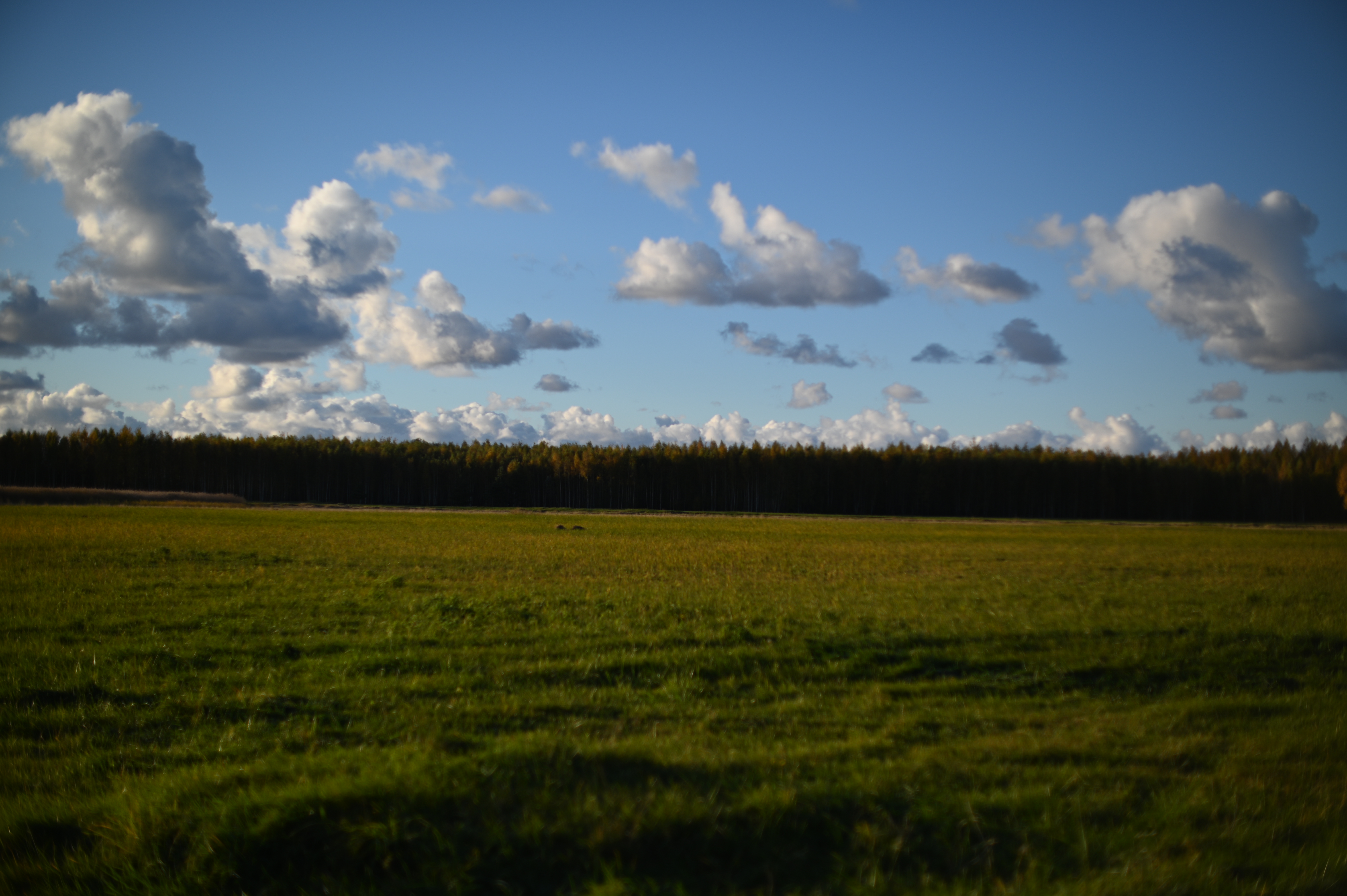 2025/10/18 - walk/DSC_0163.JPG